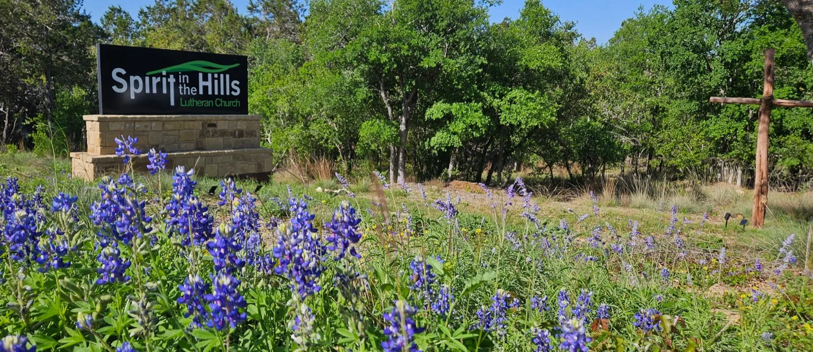 Watch for our sign on Bee Creek Road, surrounded by bluebonnets in the spring